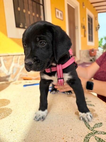 LUNA (Martina)