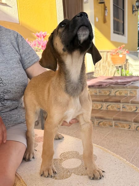 LEO (Martina)