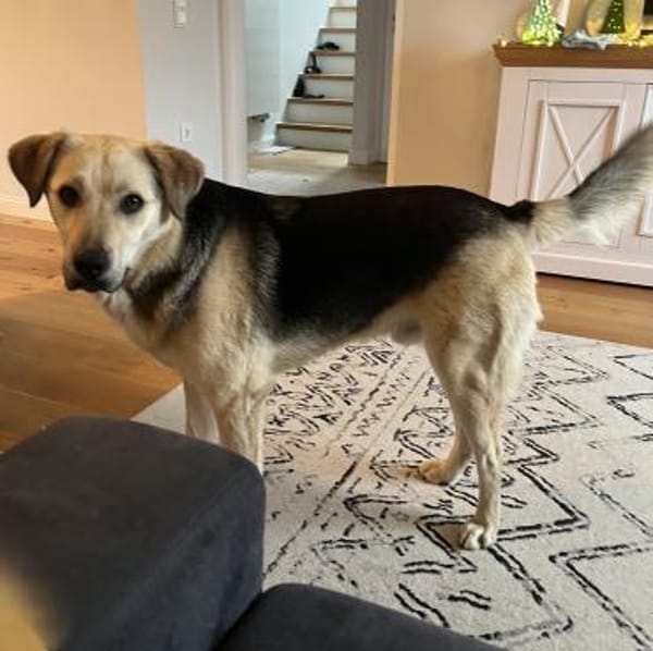 Oskar