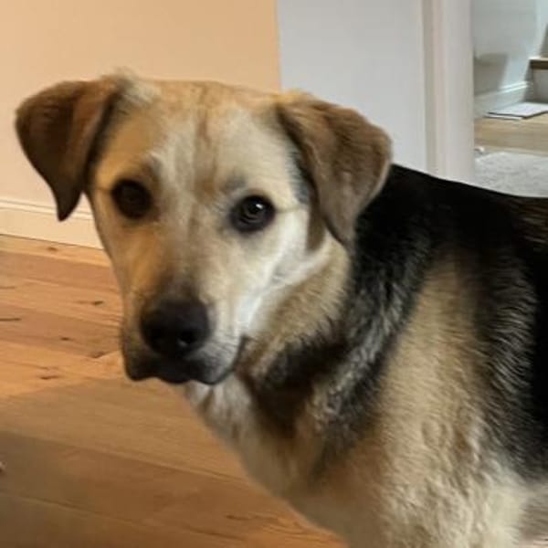 Oskar