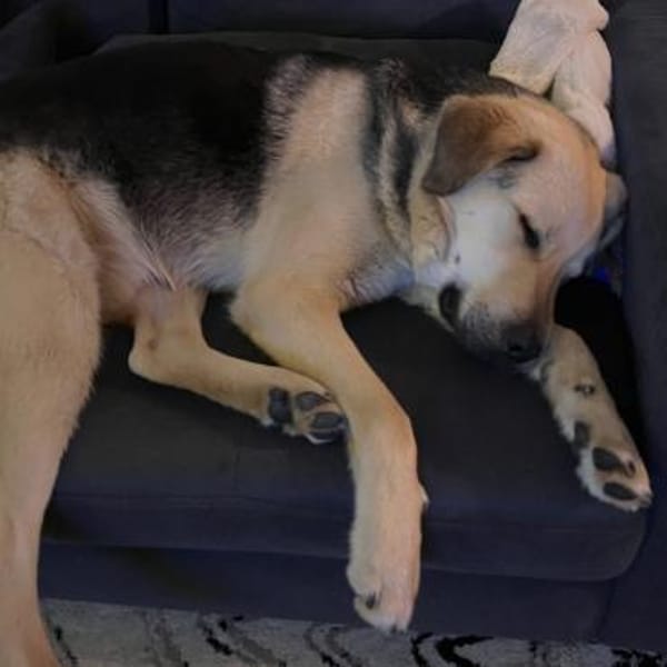 Oskar