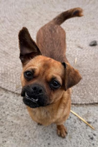 Ellie 💗 wartet bereits in 48153 Münster
