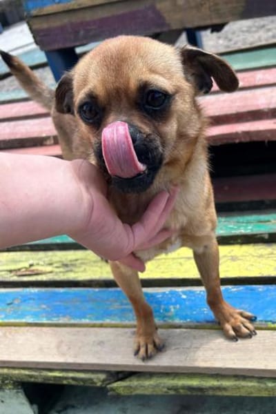 Ellie 💗 wartet bereits in 48153 Münster