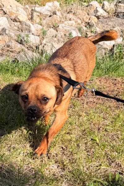 Ellie 💗 wartet bereits in 48153 Münster