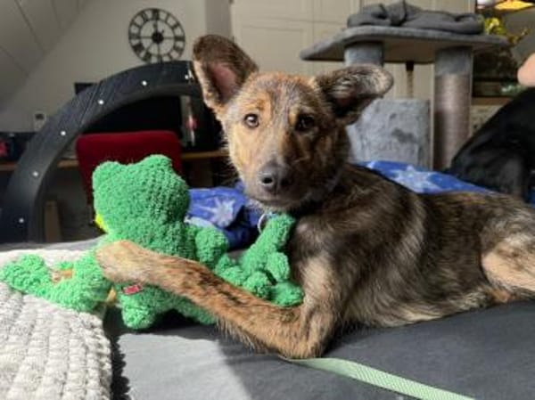 Mila wartet auf ihre Familie