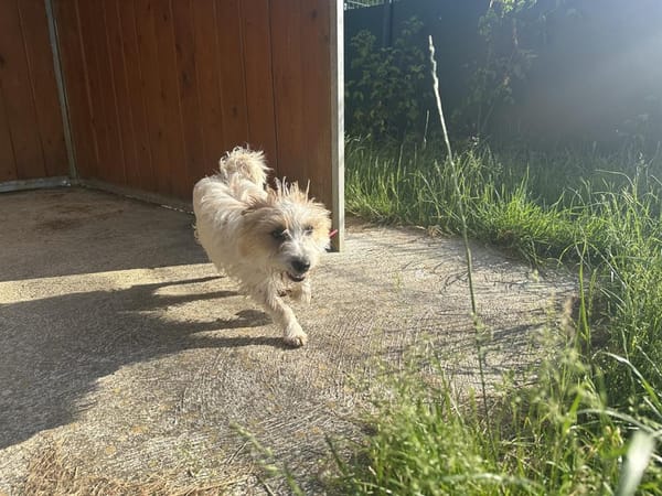 ACHILLE