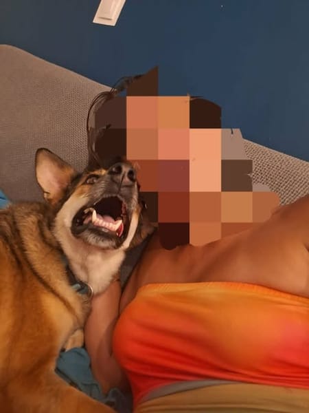 Je M'appel Demoiselle
