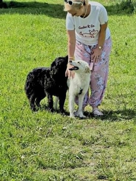 Familienhündin Gabby überzeugt overall