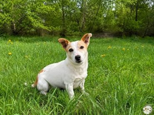 Nina sucht liebevolle Menschen