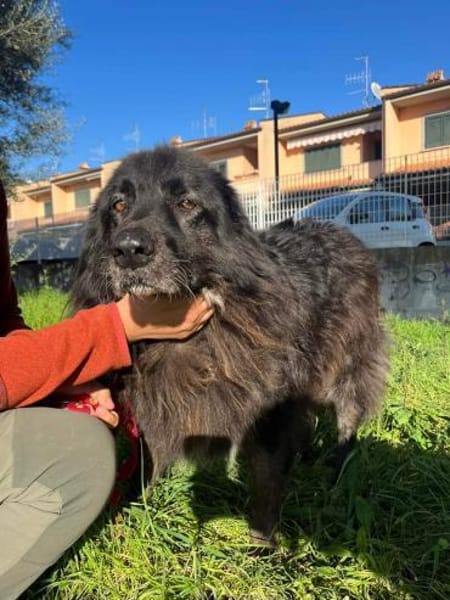 PALU🍀🍀🍀Altersruhesitz gesucht