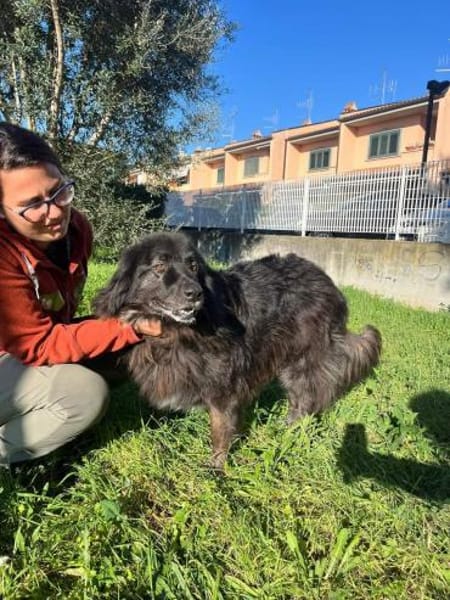 PALU🍀🍀🍀Altersruhesitz gesucht