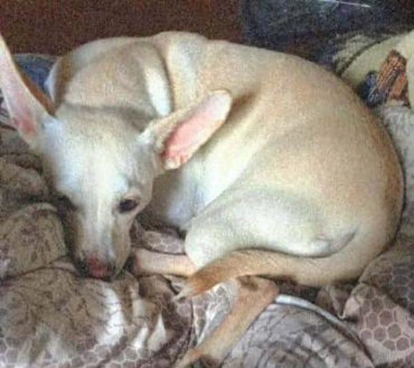 Jessie sucht ihre Familie