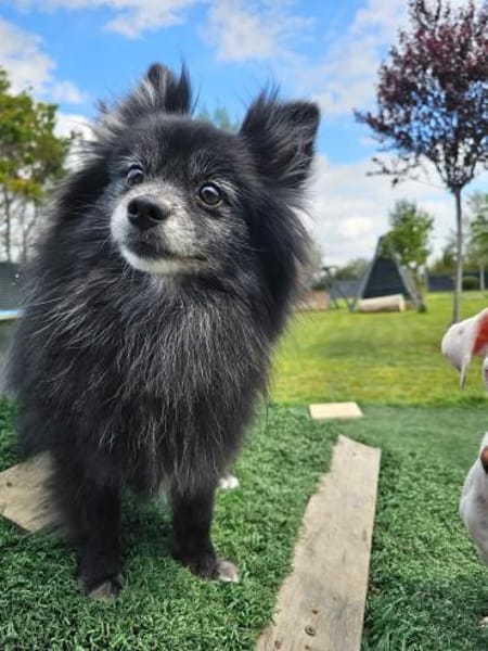 COCO ❤ einfach ein Schatz, Bochum