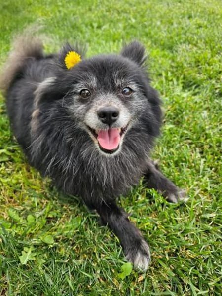 COCO ❤ einfach ein Schatz, Bochum