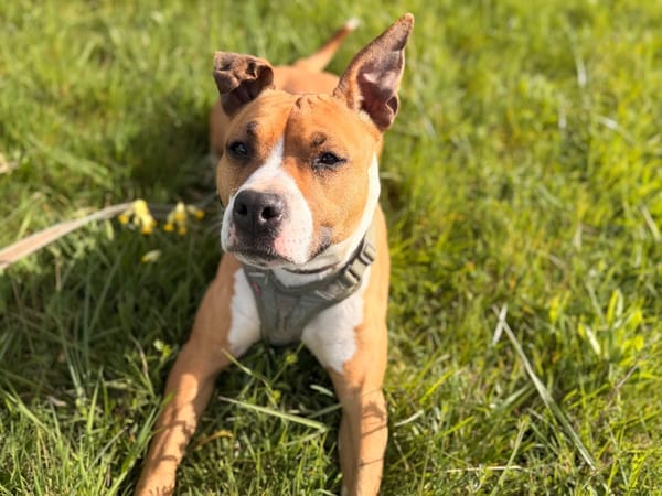 Kayna