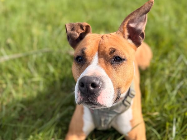 Kayna