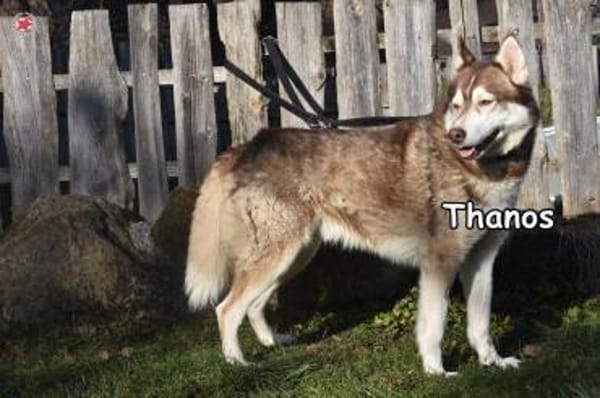 THANOS