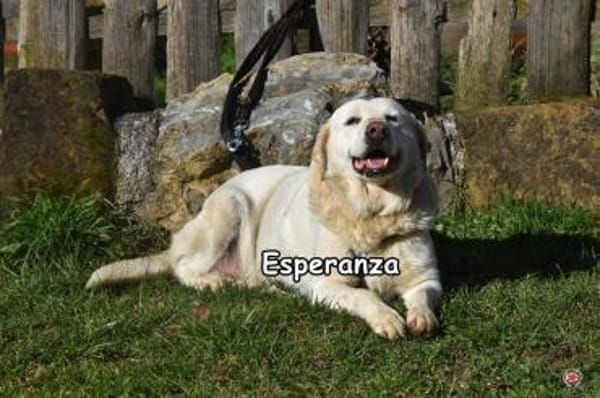 ESPERANZA