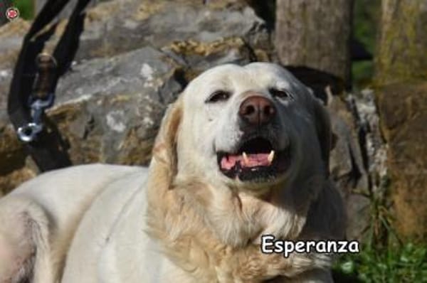 ESPERANZA
