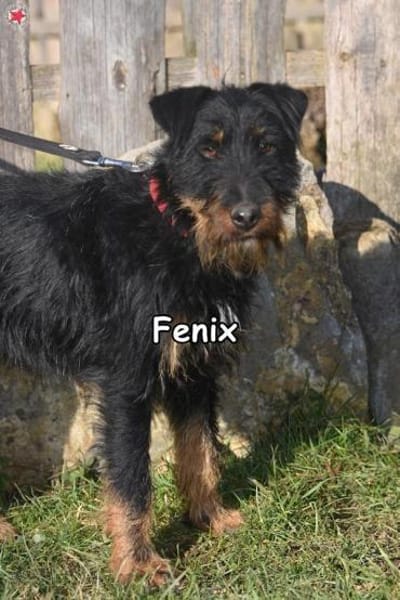 FENIX