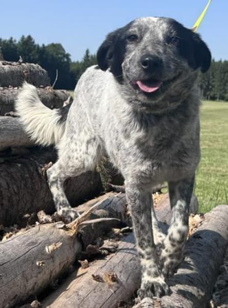 Wilma die süße Maus / am Ammersee