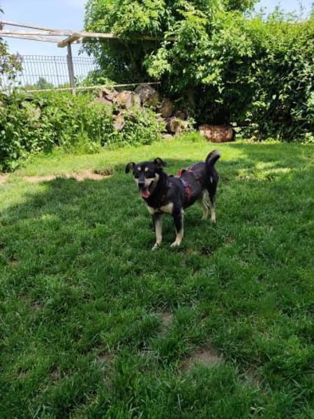 ❤Lusi- kleine Seele sucht ihr Happy End