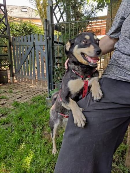 ❤Lusi- kleine Seele sucht ihr Happy End