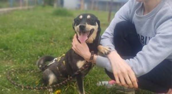 ❤Lusi- kleine Seele sucht ihr Happy End