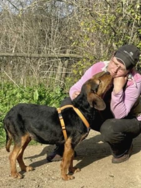 LOREEN sucht ein liebevolles Zuhause