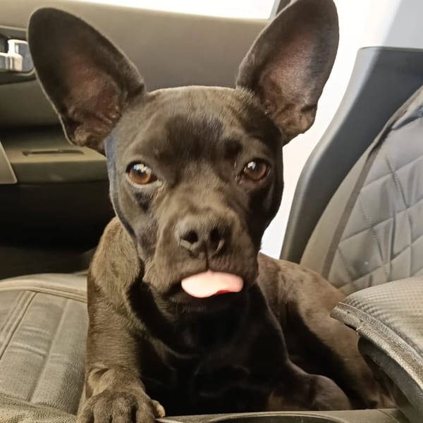 MYA