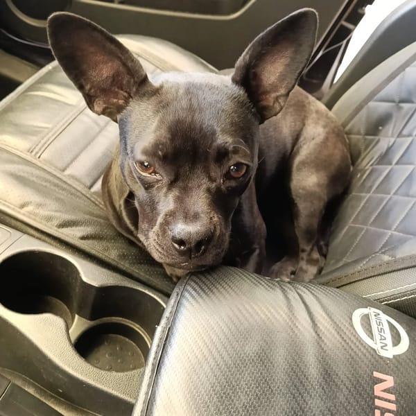 MYA