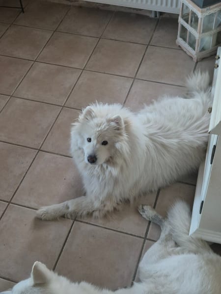 Athos