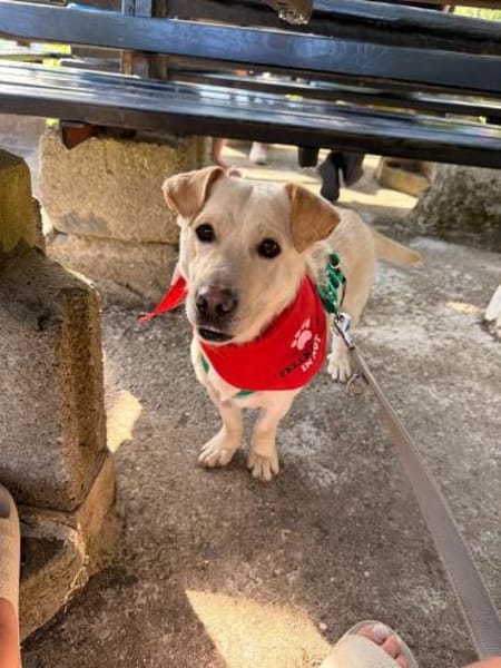 Herzensbrecher Kalle sucht Familie