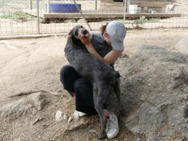 Wer gibt Barth Familienanschluss