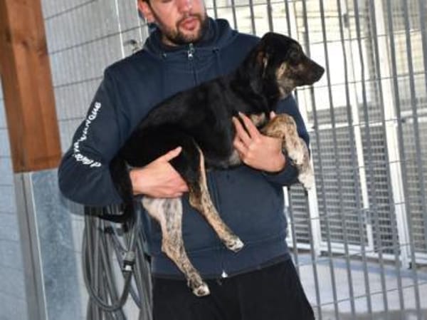Bricko sucht liebevolles Zuhause