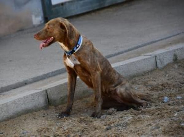 Lola sucht sportliche Menschen
