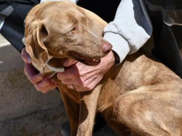 Lola sucht sportliche Menschen