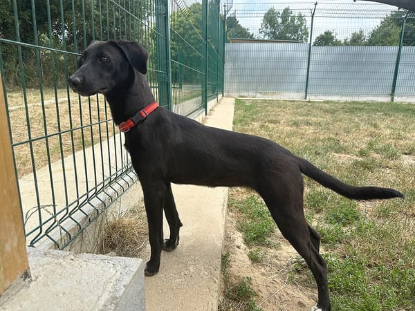 ARWEN (réservée)