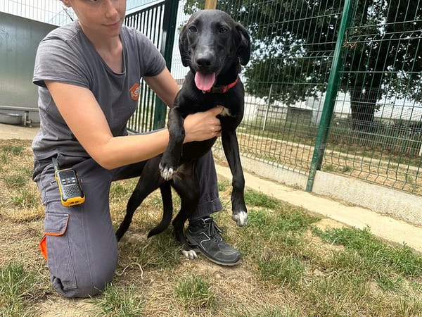 ARWEN (réservée)