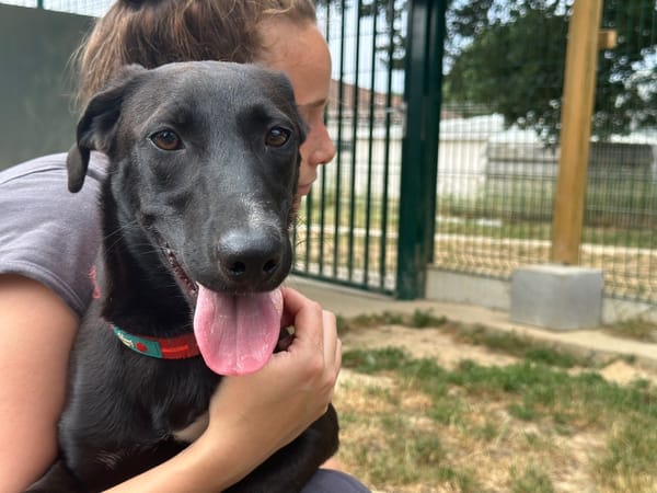 ARWEN (réservée)