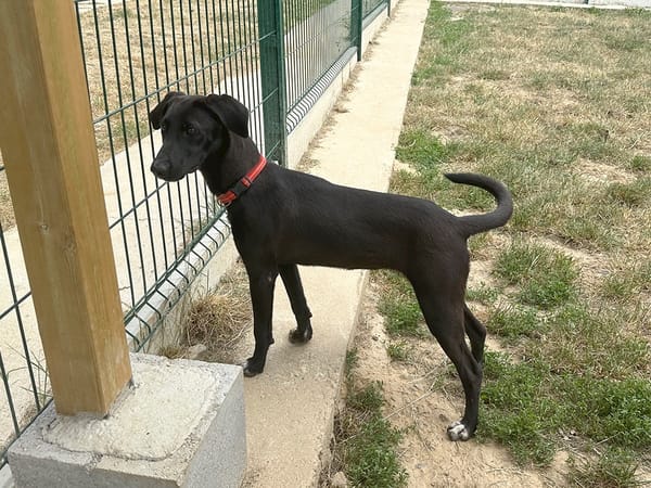 ARWEN (réservée)