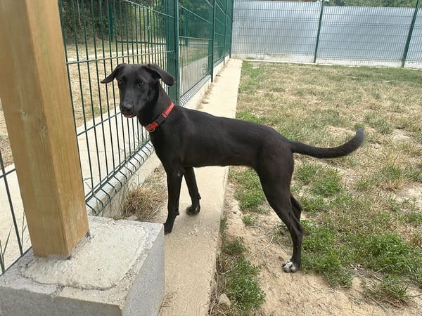 ARWEN (réservée)