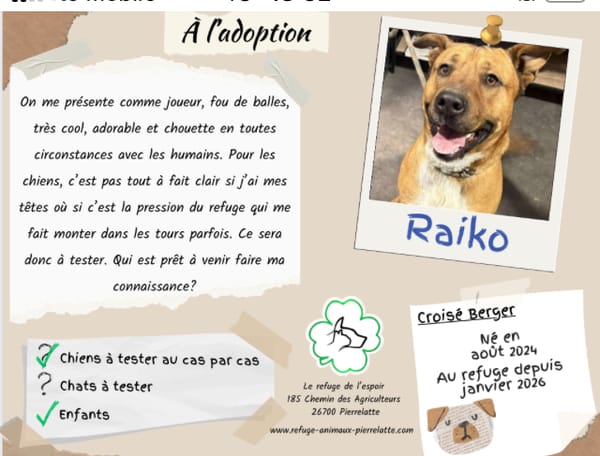 Raiko