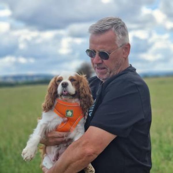 Elsa, süße Cavalier King Charles Hündin