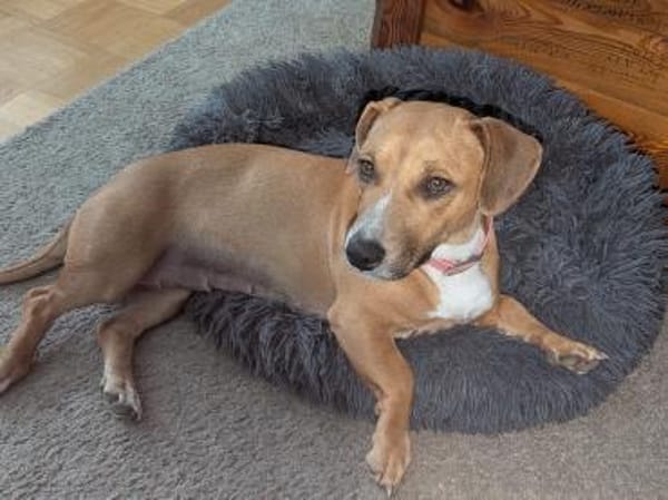 Mira -freundlich und lieb-