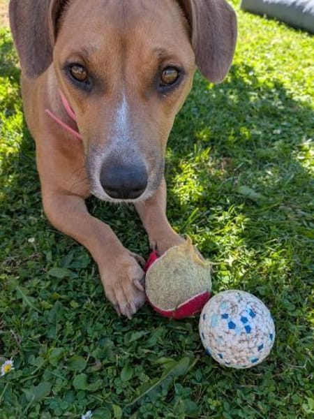 Mira -freundlich und lieb-