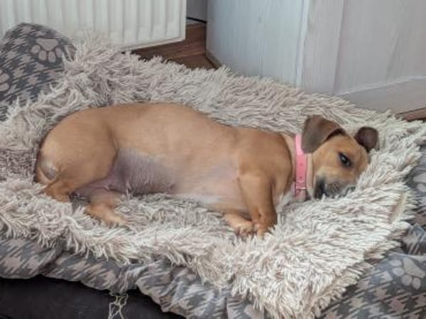 Mira -freundlich und lieb-