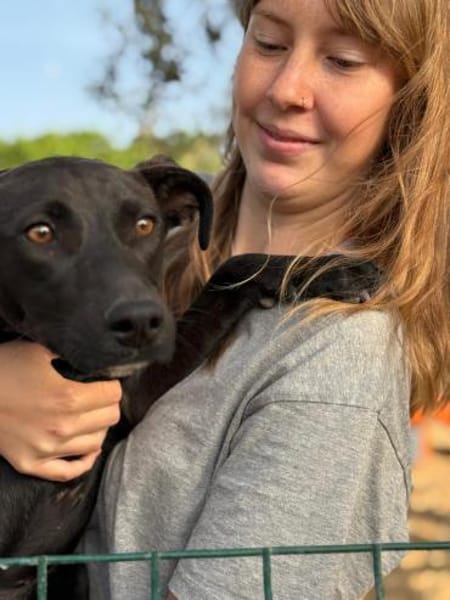Angel ist ein Traum für jeden Hundebesit