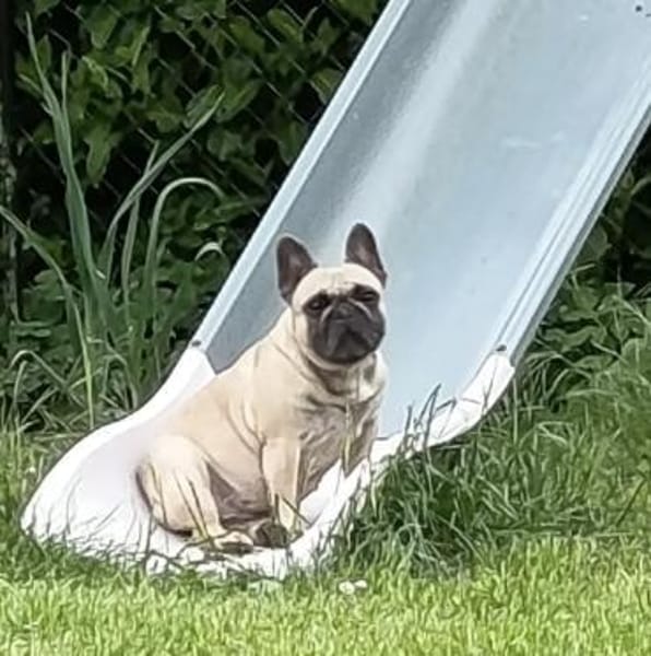 Bella gechillte FrenchyLady