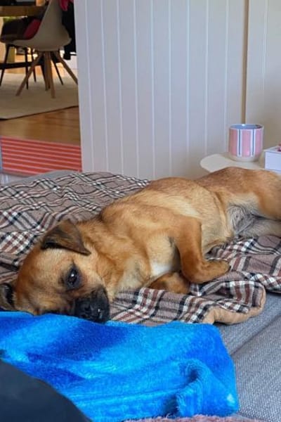 Ellie 💗 wartet bereits in 48153 Münster